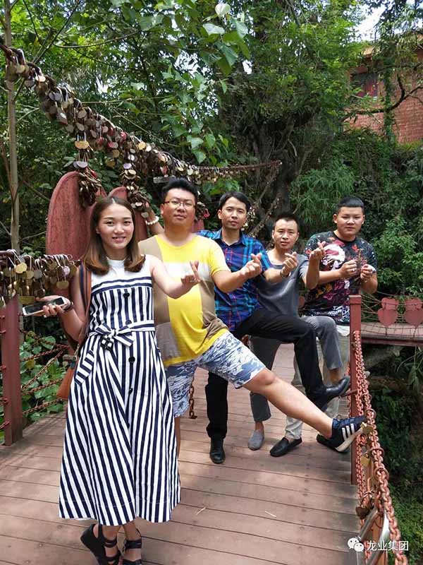 龙业集团