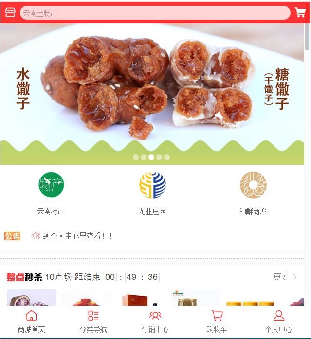 云南龙业集团,云南土特产商城